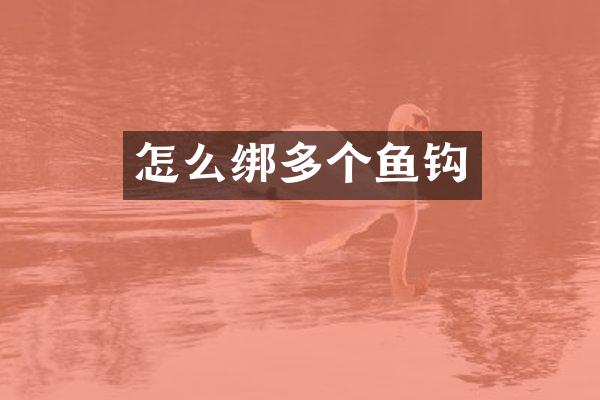怎么绑多个鱼钩