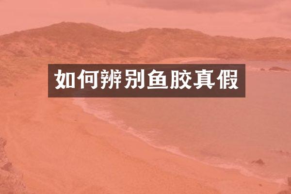 如何辨别鱼胶真假