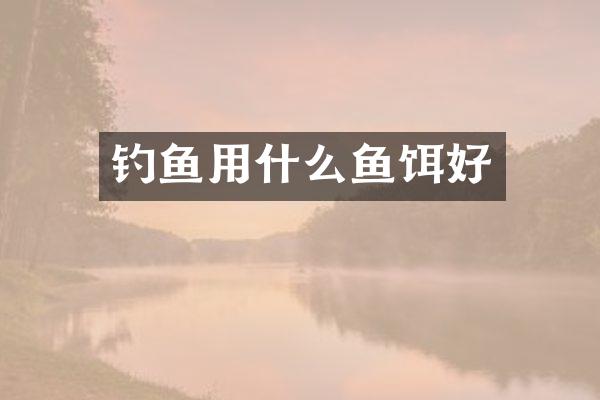 钓鱼用什么鱼饵好