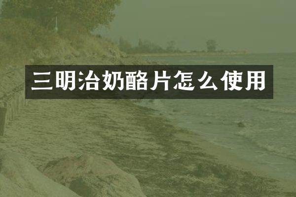 三明治奶酪片怎么使用