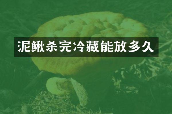 泥鳅杀完冷藏能放多久
