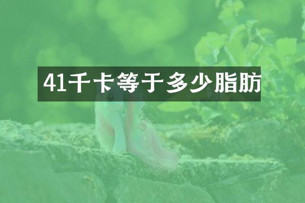 41千卡等于多少脂肪