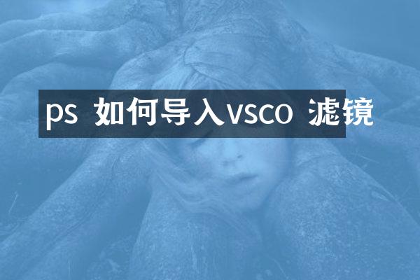ps 如何导入vsco 滤镜