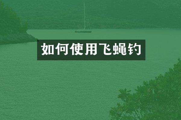如何使用飞蝇钓