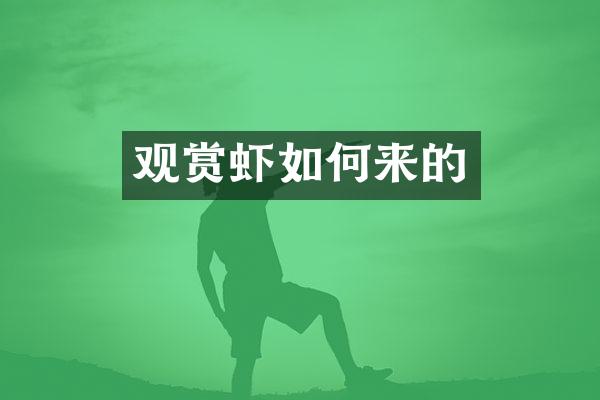 观赏虾如何来的