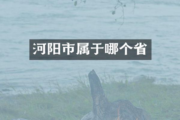 河阳市属于哪个省