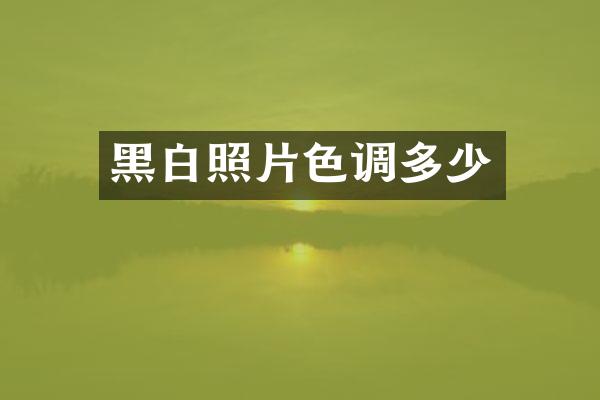 黑白照片色调多少