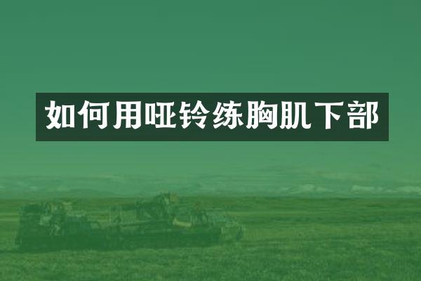 如何用哑铃练胸肌下部