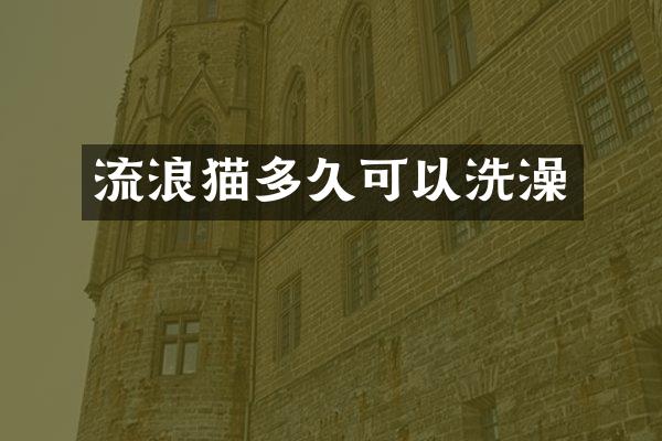 流浪猫多久可以洗澡