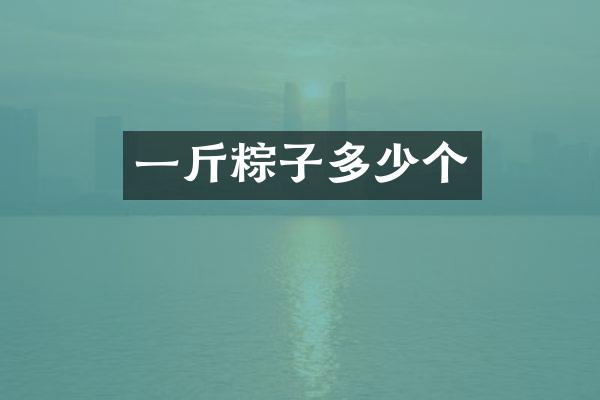 一斤粽子多少个