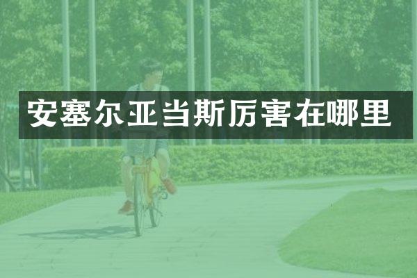 安塞尔亚当斯厉害在哪里