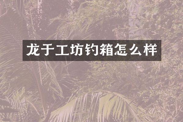 龙于工坊钓箱怎么样