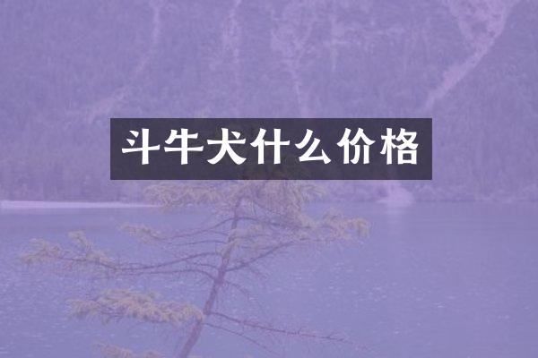 斗牛犬什么价格