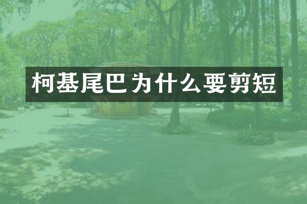 柯基尾巴为什么要剪短
