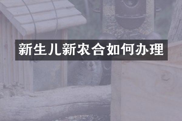 新生儿新农合如何办理