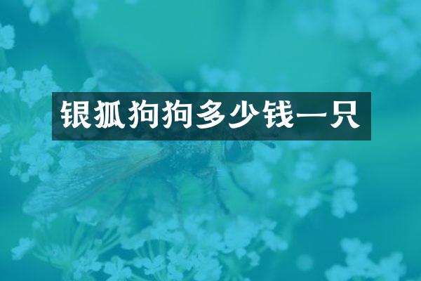 银狐狗狗多少钱一只