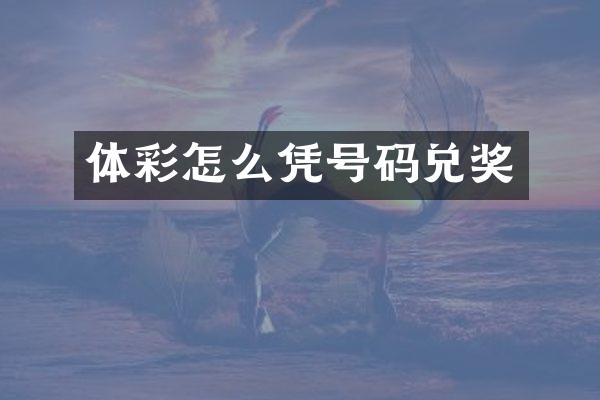 体彩怎么凭号码兑奖