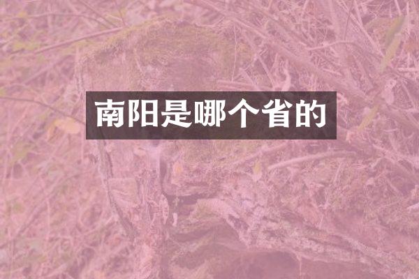 南阳是哪个省的