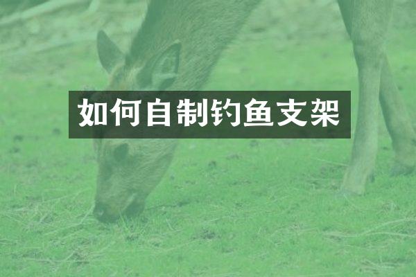 如何自制钓鱼支架
