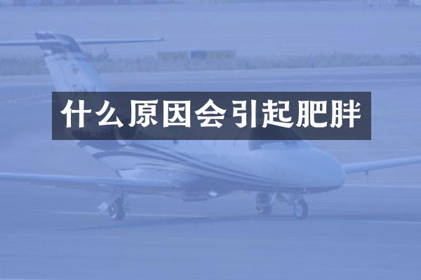 什么原因会引起肥胖