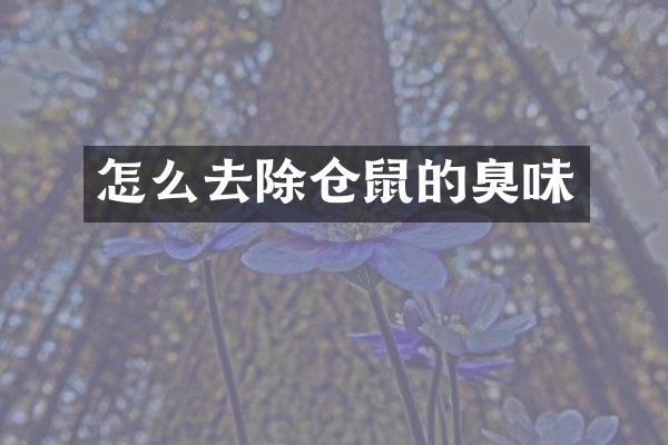 怎么去除仓鼠的臭味