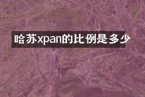 哈苏xpan的比例是多少
