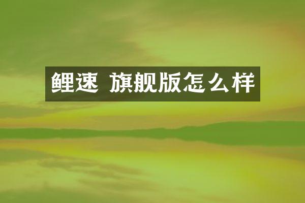 鲤速 旗舰版怎么样