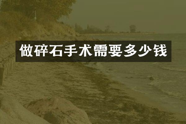 做碎石手术需要多少钱