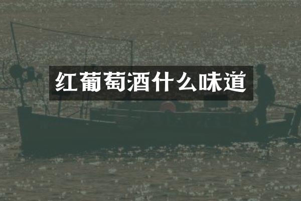 红葡萄酒什么味道