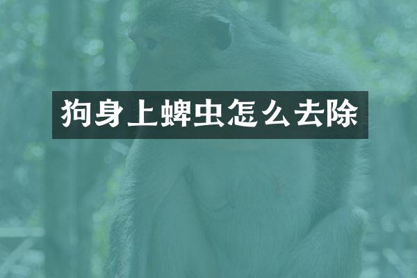 狗身上蜱虫怎么去除