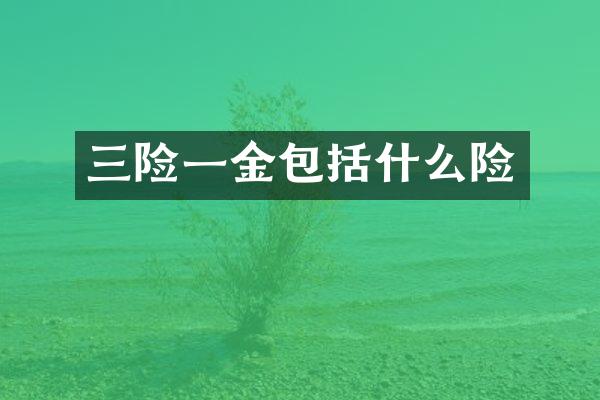 三险一金包括什么险