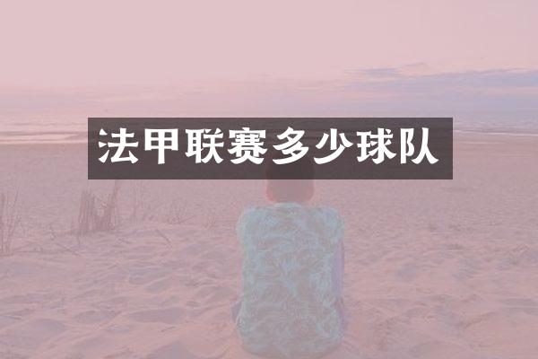 法甲联赛多少球队