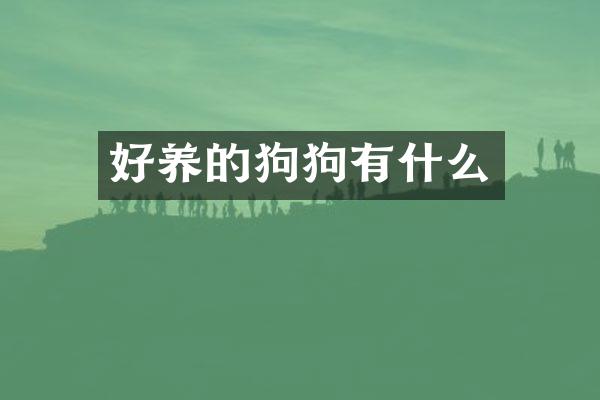好养的狗狗有什么