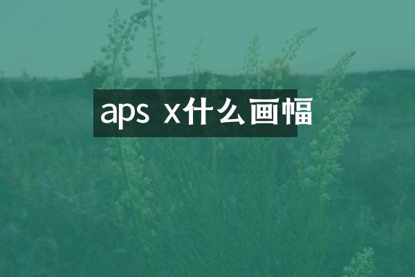 aps x什么画幅