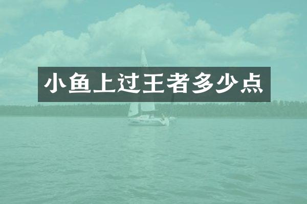 小鱼上过王者多少点