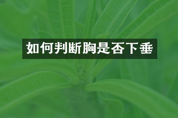 如何判断胸是否下垂