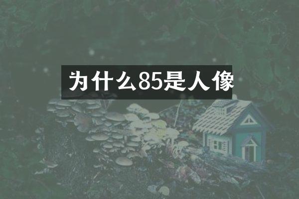 为什么85是人像