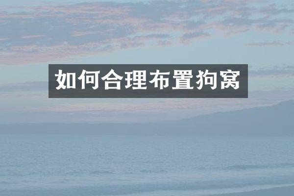 如何合理布置狗窝