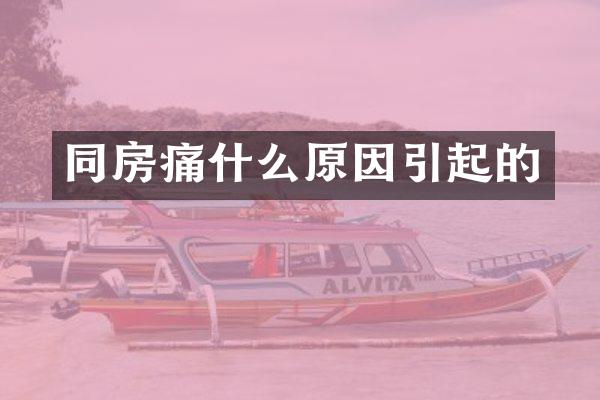 同房痛什么原因引起的