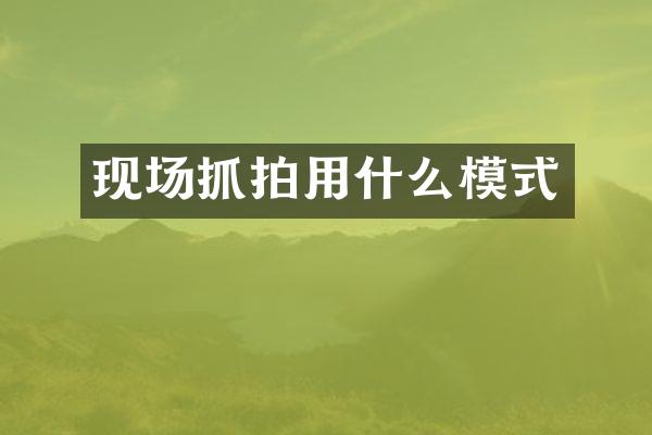 现场抓拍用什么模式