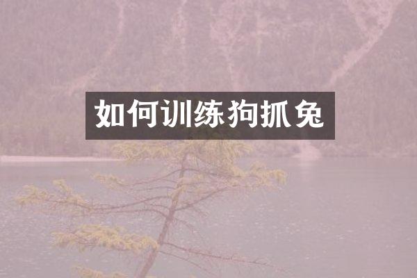 如何训练狗抓兔