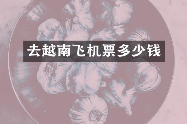 去越南飞机票多少钱
