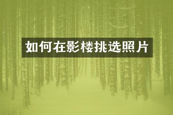 如何在影楼挑选照片