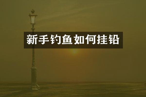 新手钓鱼如何挂铅