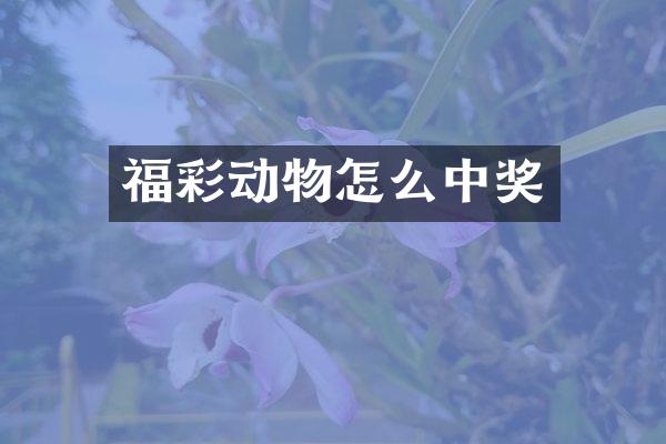 福彩动物怎么中奖