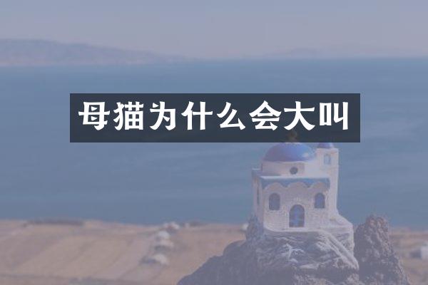 母猫为什么会大叫