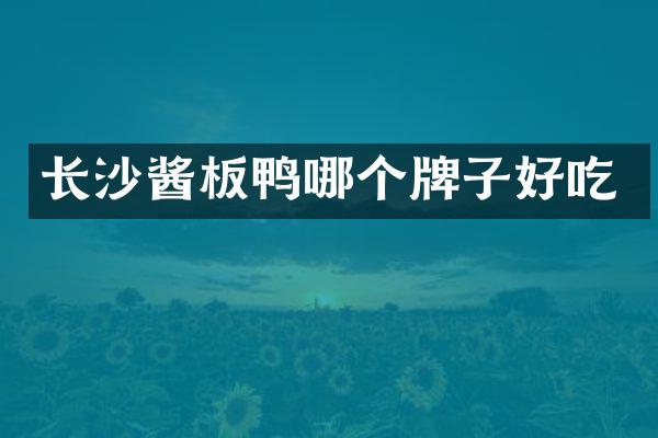 长沙酱板鸭哪个牌子好吃