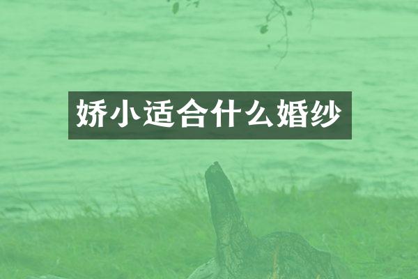 娇小适合什么婚纱