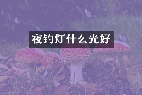 夜钓灯什么光好