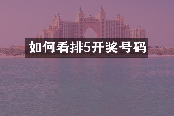 如何看排5开奖号码